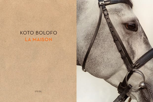 Koto Bolofo 