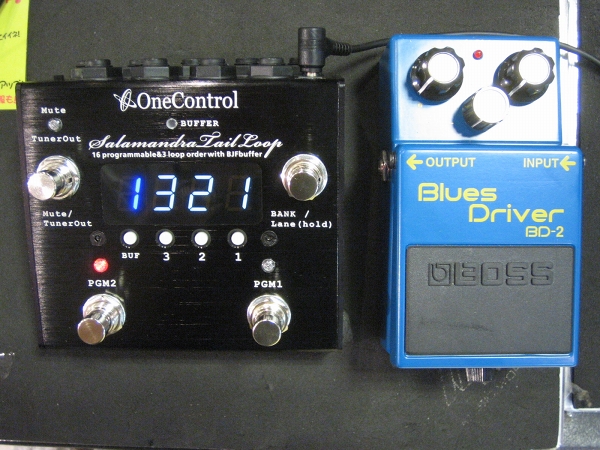 one control Salamandra Tail Loop 入荷してます！！ | イシバシ楽器