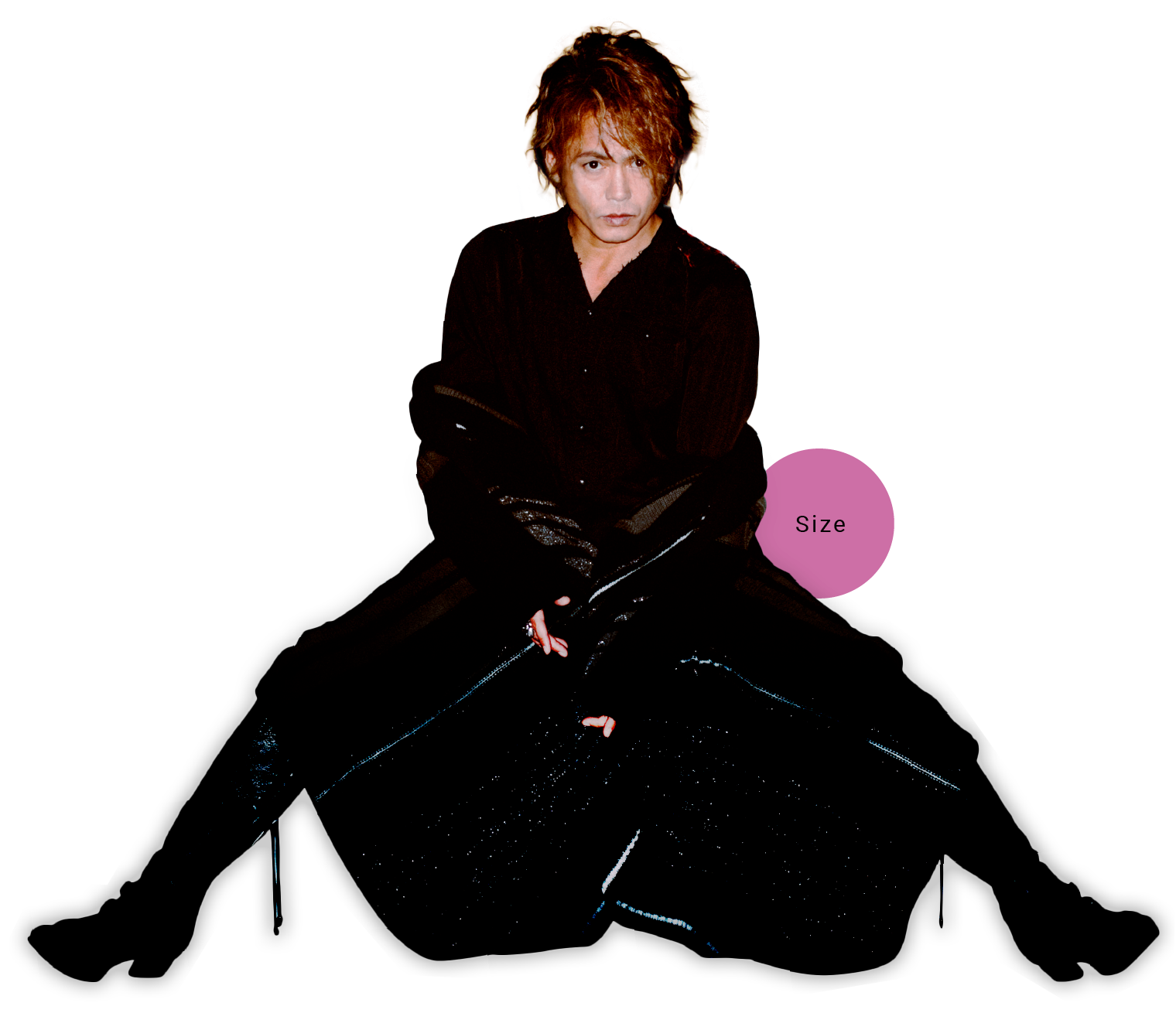 PROFILE ｜ 諸星和己オフィシャルウェブサイト