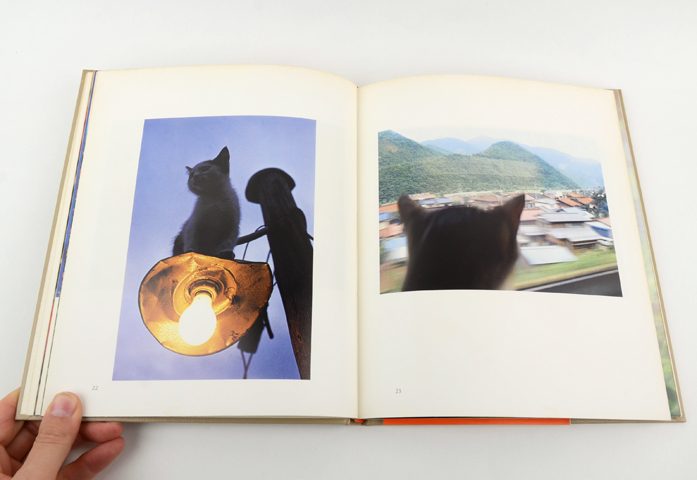 猫の麦わら帽子｜恵文社一乗寺店 オンラインショップ