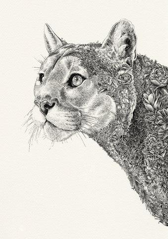 Cougar - Giclée Print – Marini Ferlazzo - Art for Wildlife