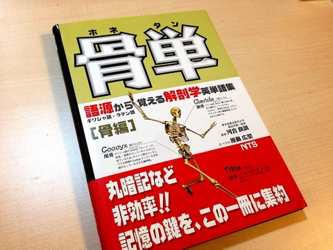 ケガから得る解剖学 - 高尾美穂のOfficial WEB｜産婦人科医、ヨガ指導