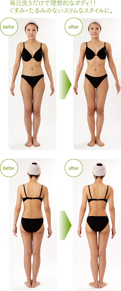 株式会社 リード モンテセラピー 製品のご案内＜モンテボディR