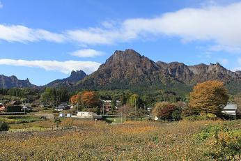 企業情報 | 妙義山麓美術館 公式