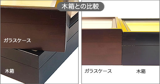 ガラスケースフレームリニューアルのご案内 , お知らせ , 蝶の標本