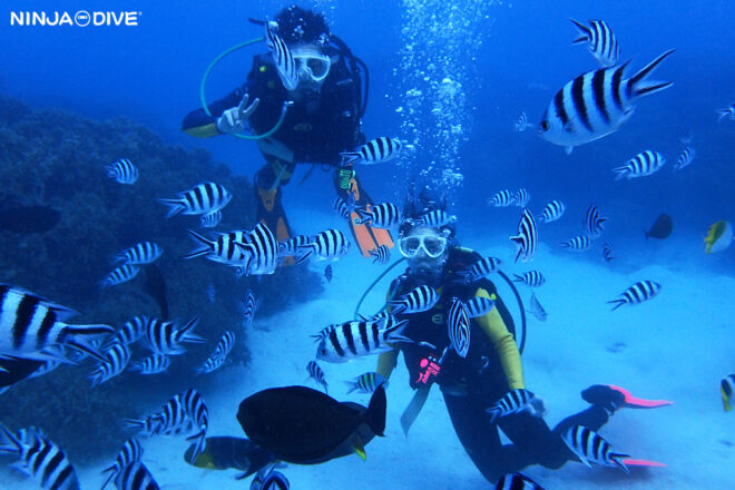 潜水 Diving – グアムでのダイビングは NINJA DIVE – 忍者ダイブ