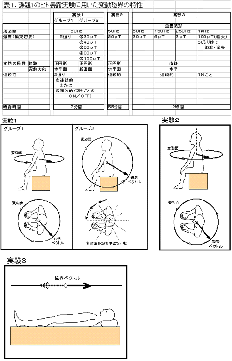 超低周波電磁界による健康リスクの評価に関する研究（特別研究） 平成9