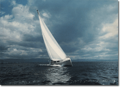 日本OPヨット NewYachts