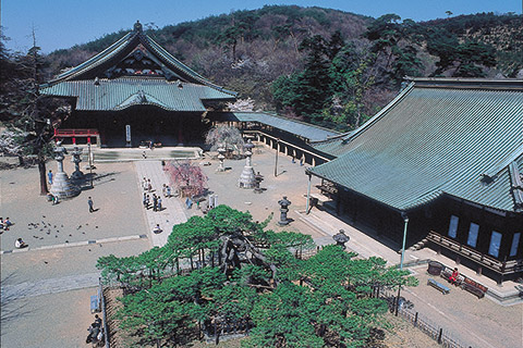 大光院 | 会員情報 ｜ 太田市観光物産協会