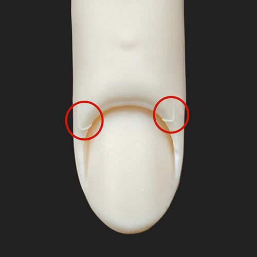 rednails web channel / ♪STモデルハンド セット(JNEC 第1期認定