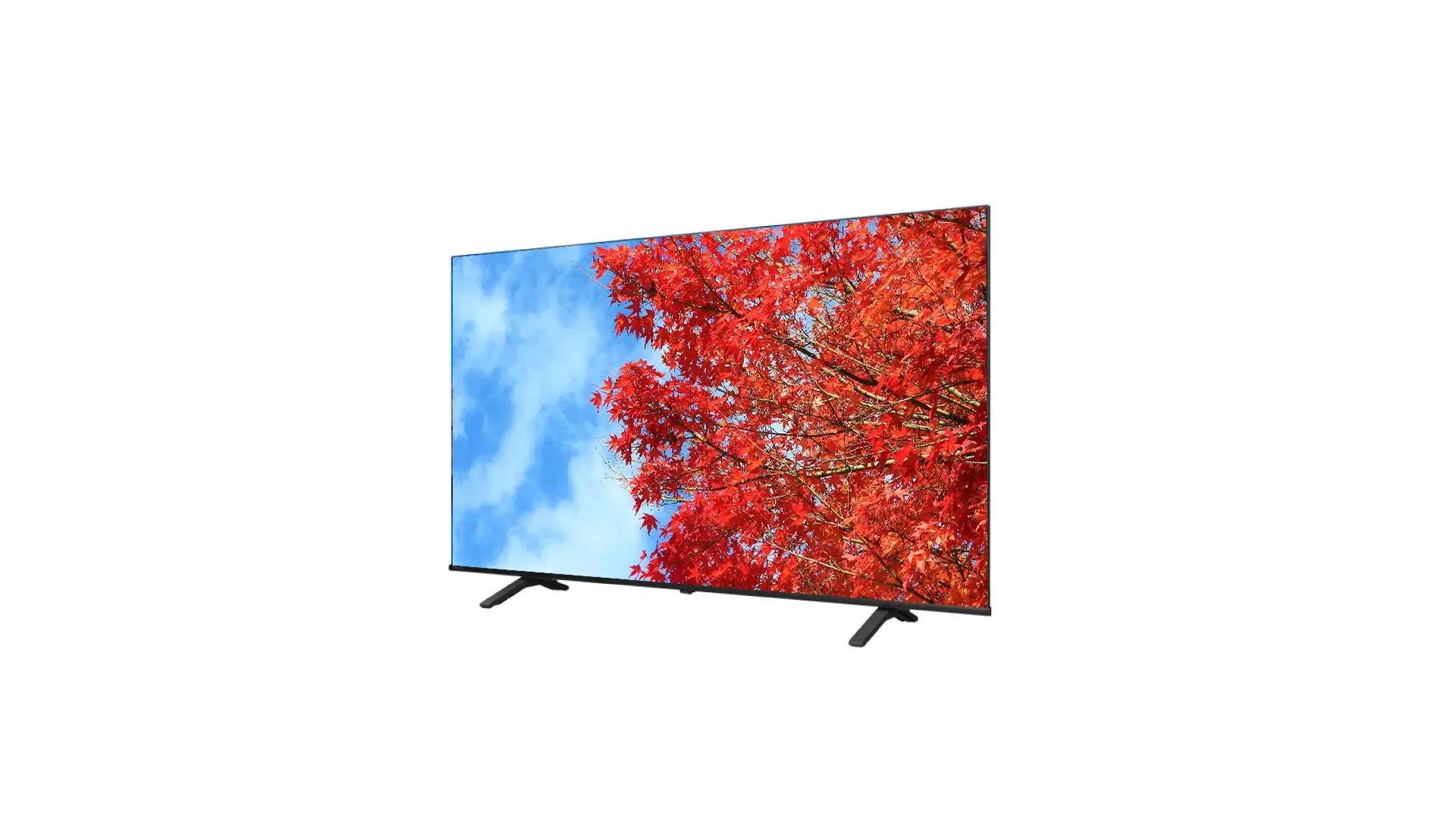 法人向けレグザ C350M series 商品詳細｜TVS REGZA株式会社