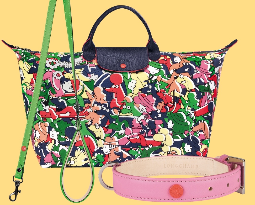 Longchamp x Clo'e Floirat | Sandra's Closet