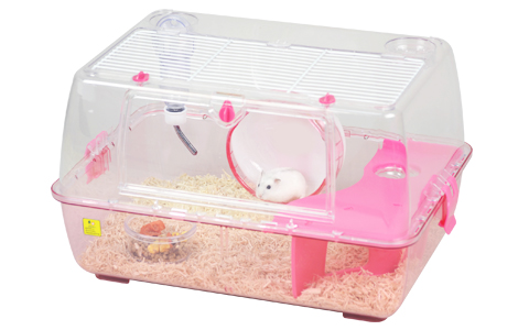 ルーミィ ピンク ｜ 株式会社三晃商会