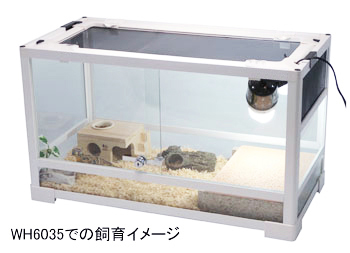 パンテオン ブラック BK6035 ｜ 株式会社三晃商会