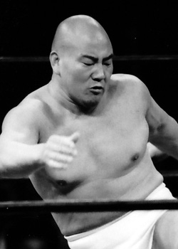 日本人全レスラー名鑑 山本小鉄