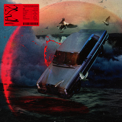 NINTH【LIMITED EDITION BOX B (CD + 2DVD)】 | the GazettE | ソニー