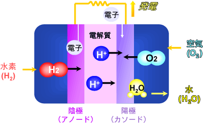 遂に成功した燃料電池触媒のリアルタイム解析 － 燃料電池車実現に向け