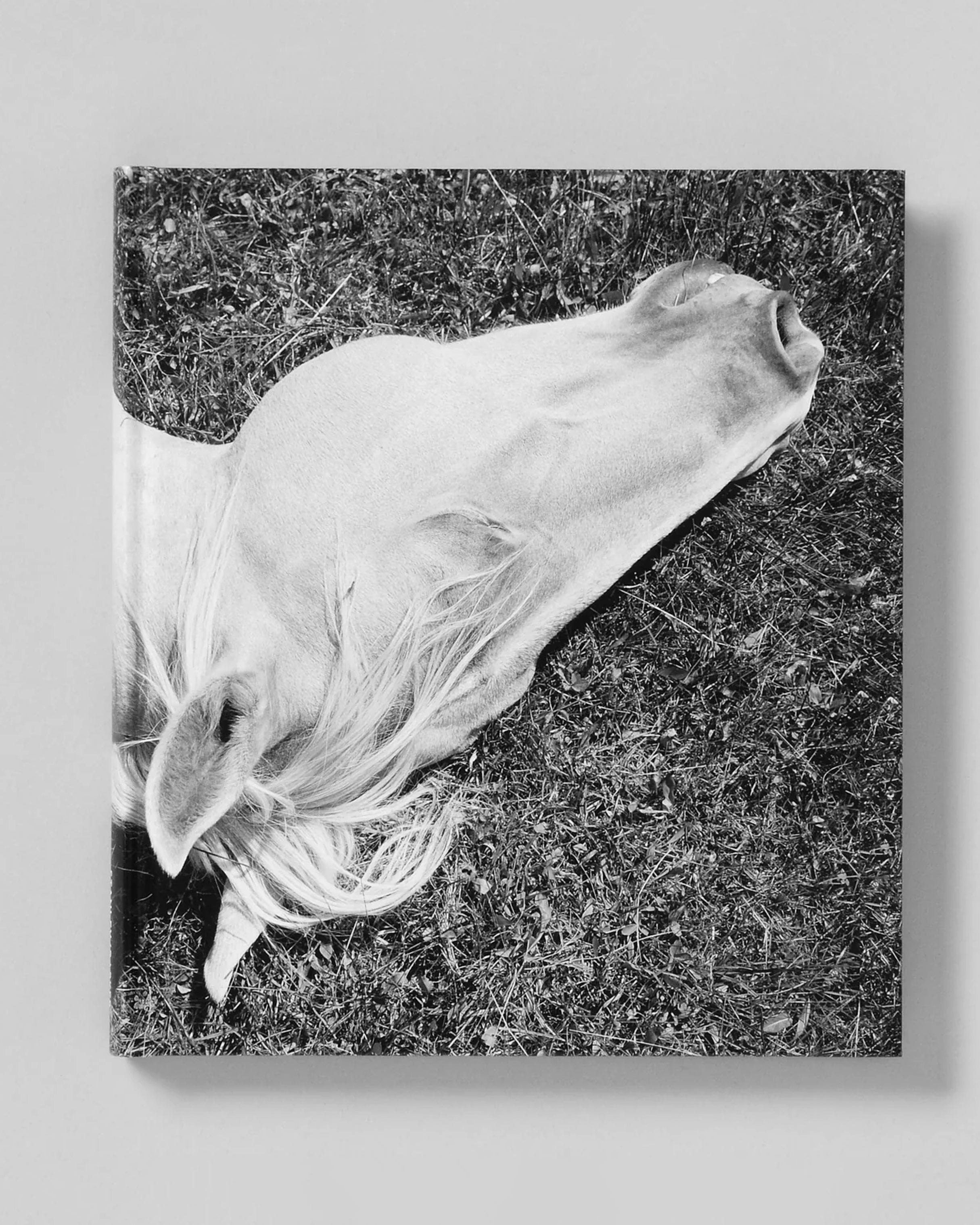 Megalith-Still – STANLEY/BARKER