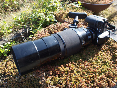 SMC TAKUMAR 400mm F4: お散歩写真館