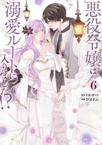 悪役令嬢は溺愛ルートに入りました!?(6) 特装版小冊子付き – world-manga10