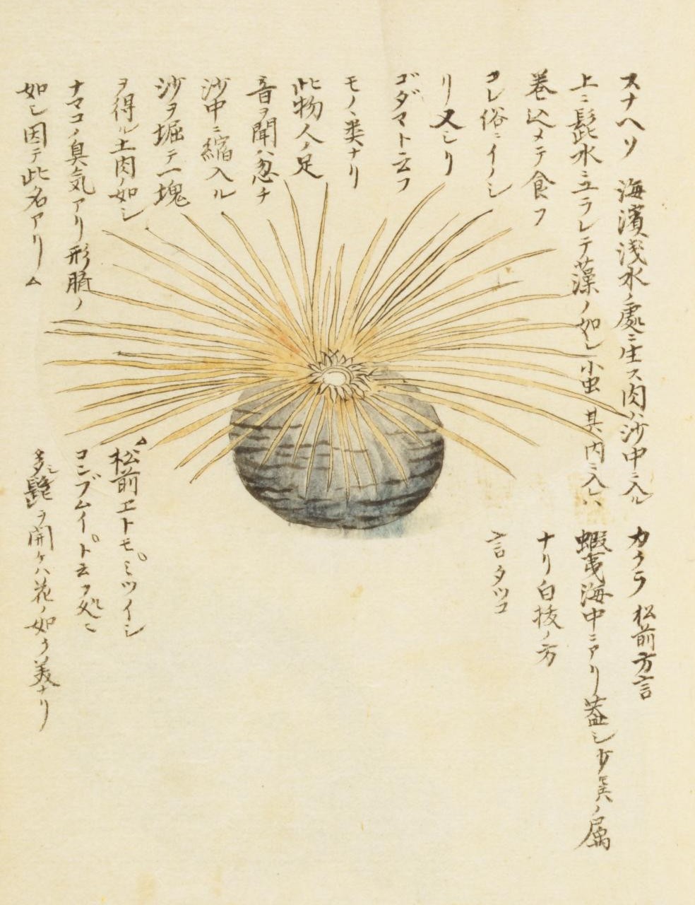 栗氏千蟲譜」巻九 栗本丹州