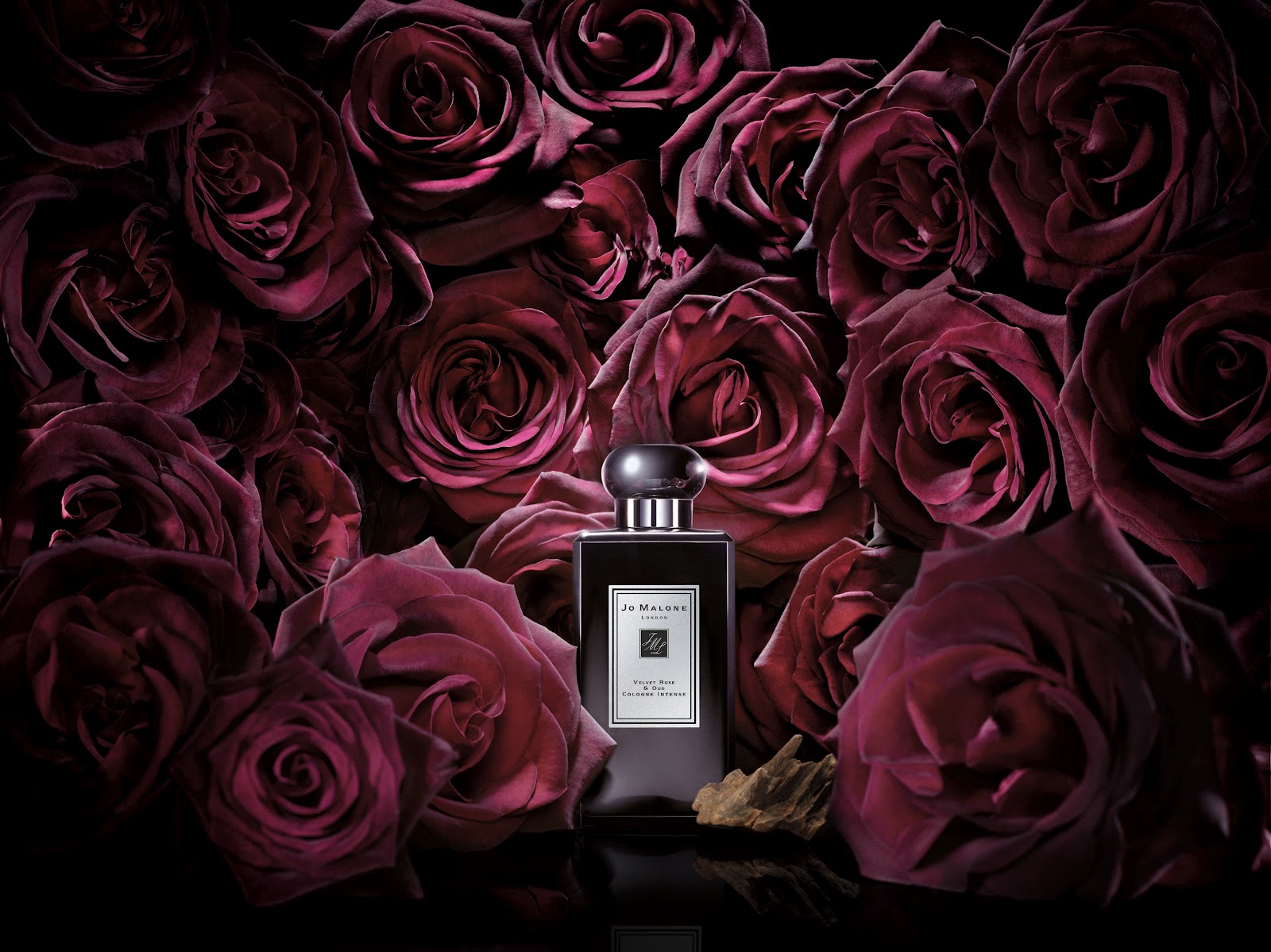 Jo Malone Velvet Rose & Oud - Cologne Intense – Caroline Hirons
