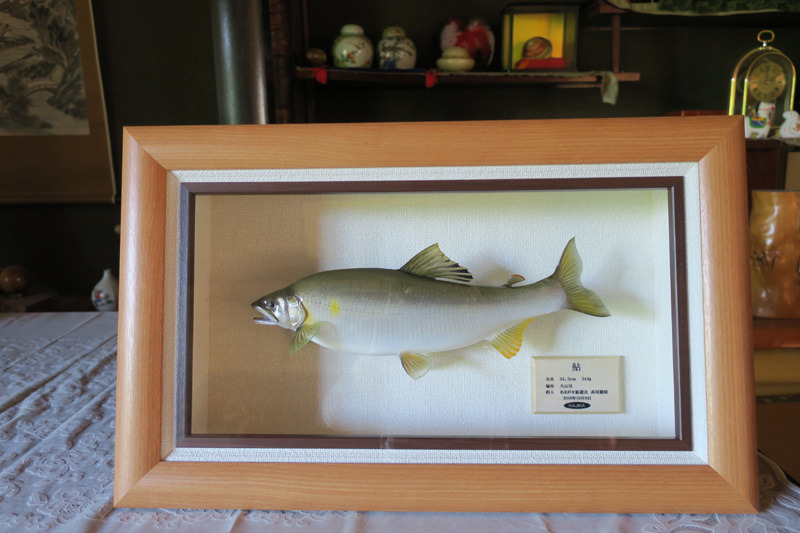 同じ尺鮎でも: RyonとS-MXの落書帳