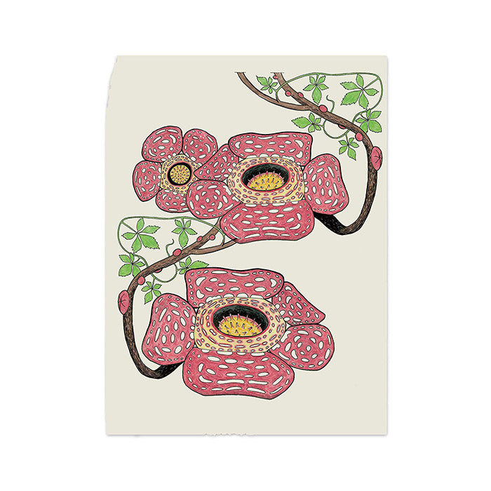 Atlas of Poetic Botany - Francis Halle – 50 Watts Books