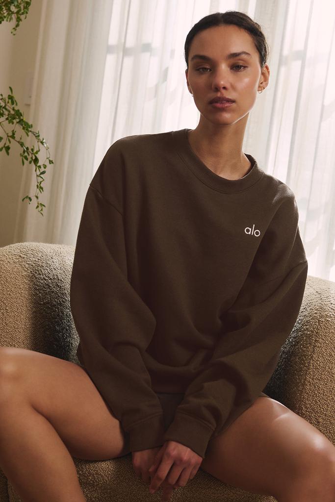 Alo Accolade Crew Neck Pullover - Espresso - Hoodies - Free