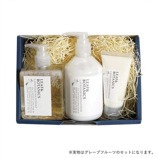 Leaf＆Botanicsギフトセット – 10mois 公式オンラインショップ