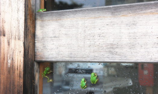 坂本遼（1959年）『きょうも生きて』||| – ||||| YAMADA,Toshiyuki |||