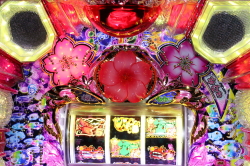 P ドラム海物語 IN沖縄 桜バージョンの解析攻略まとめ