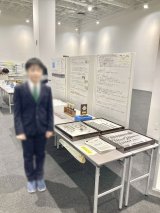 T-WOOD | 昆虫標本箱（ドイツ箱）・収納庫専門店