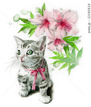 ピンクのリボンの子猫とツツジの花のイラスト素材 [22585619] - PIXTA
