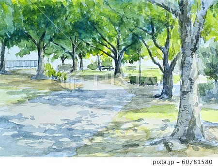 親水公園の初夏 水彩のイラスト素材 [60781580] - PIXTA