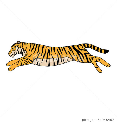 Vector hand drawn colored jumping tigerのイラスト素材 [84948467