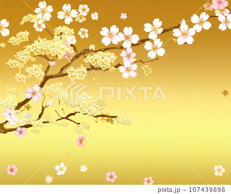 級感のある桜背景 日本の風景 金屏風豪華な年賀状 和風背景のイラスト