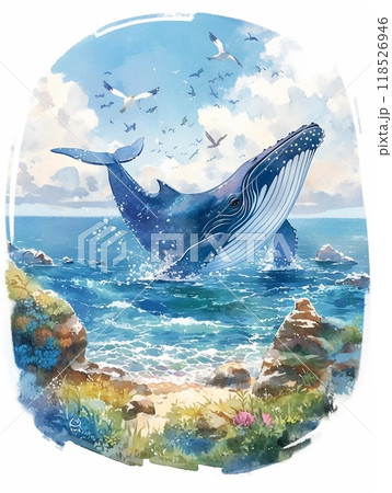 空飛ぶクジラと猫 空飛ぶクジラと猫 空飛ぶクジラと猫