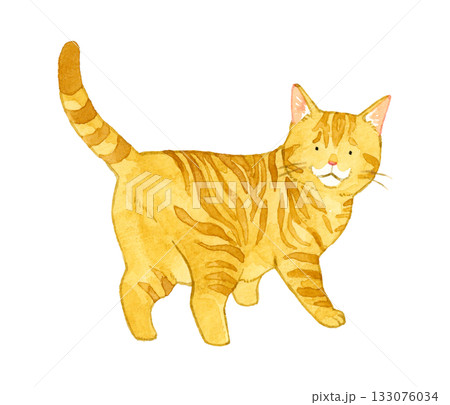 見返り猫の写真素材 - PIXTA