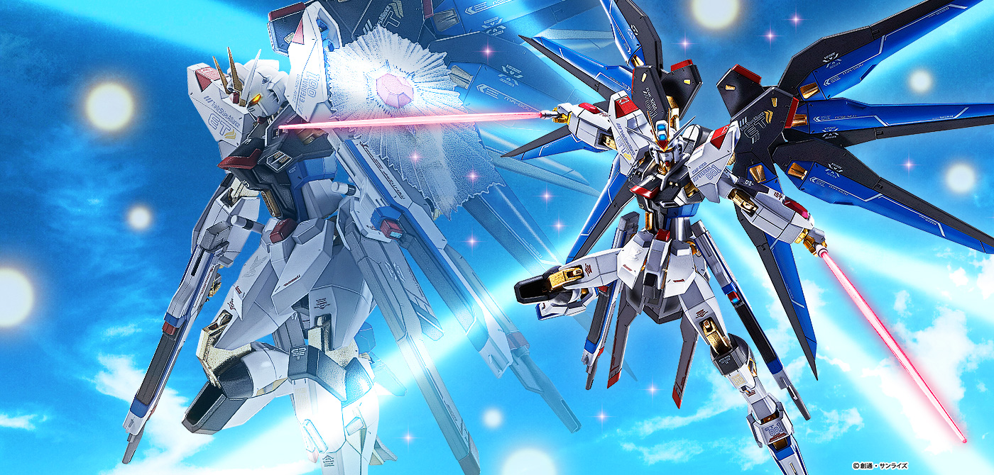 METAL ROBOT魂 ＜SIDE MS＞ ストライクフリーダムガンダム [Re
