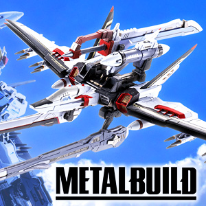 METAL ROBOT魂 ＜SIDE MS＞ インフィニットジャスティスガンダム 20th