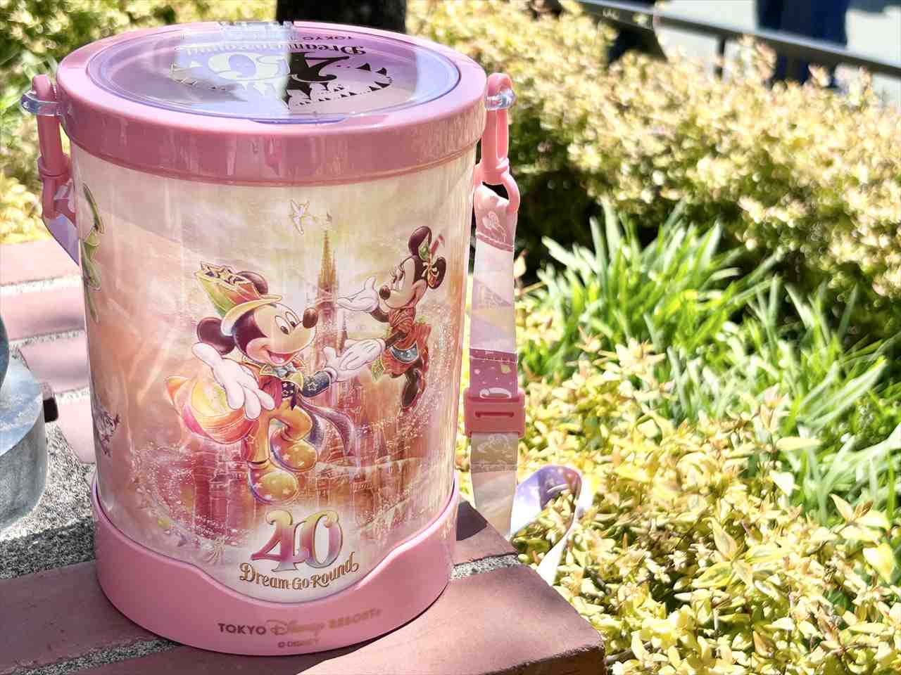 東京ディズニーリゾート現地速報】40周年限定のベリーチーズケーキ