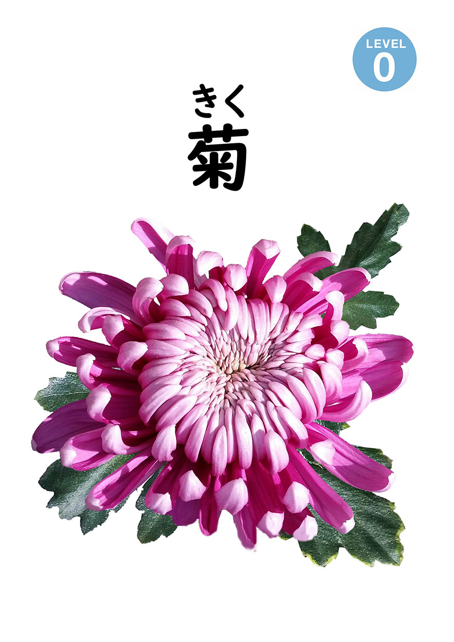 hana＊プロフ一読下さい(^^)様 リクエスト 8点 まとめ商品 みぃみぃ様