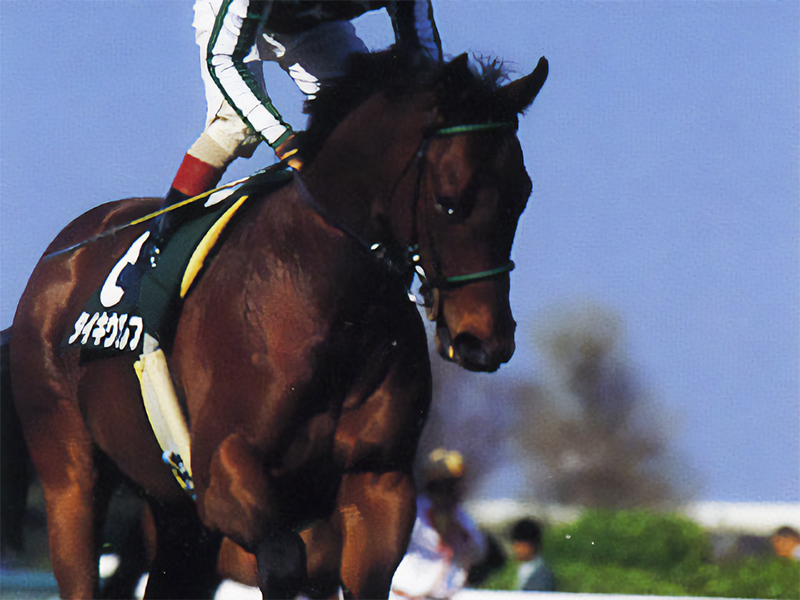 タイキウルフ | 大樹レーシングクラブ公式サイト