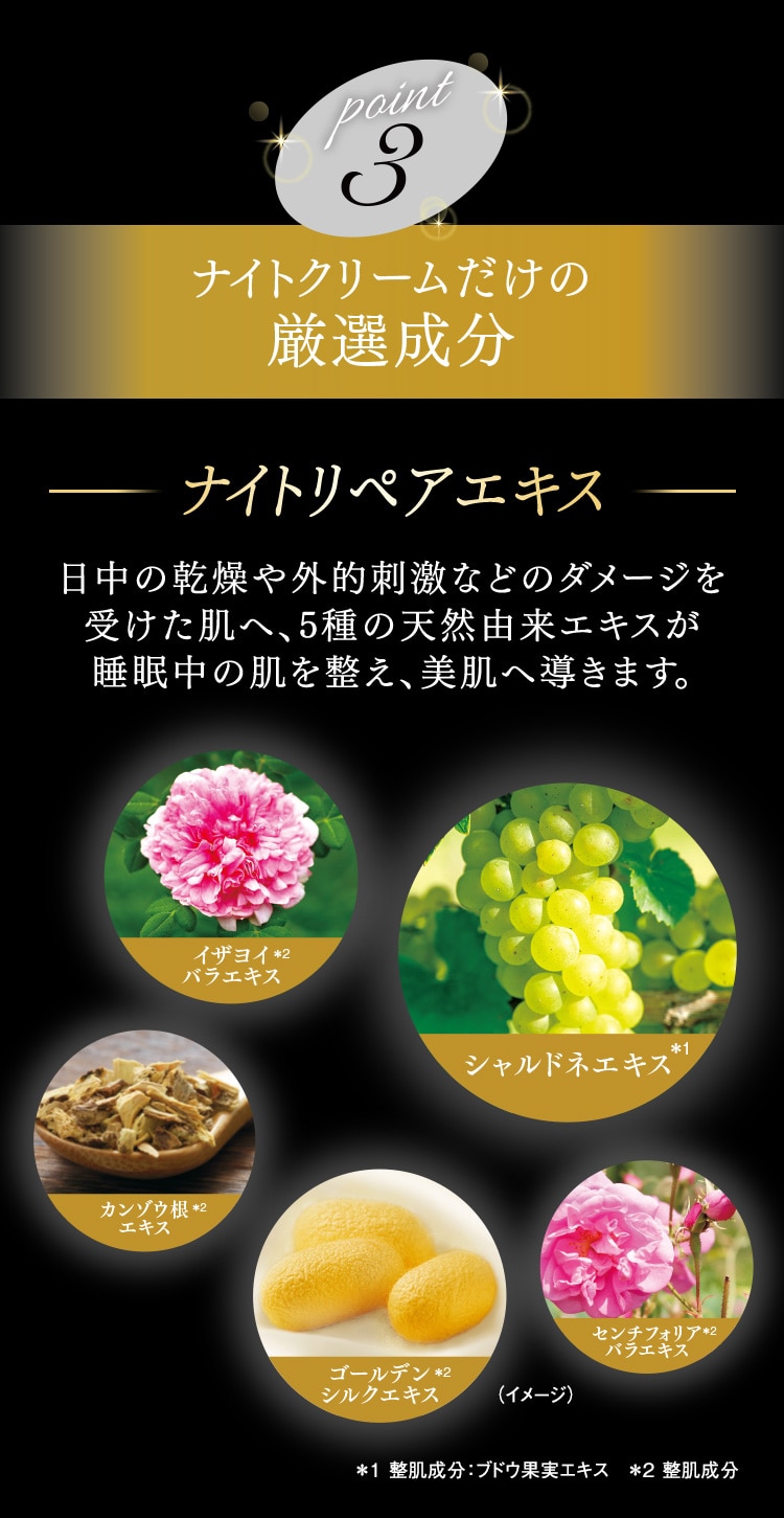 誕生。とろけるナイトクリーム ｜ THE MYTOL MELTY NIGHT CREAM ザ