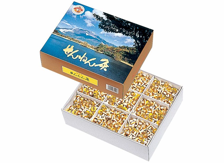 せんねん灸オフ レギュラーきゅう 伊吹 | タカチホメディカルショップ