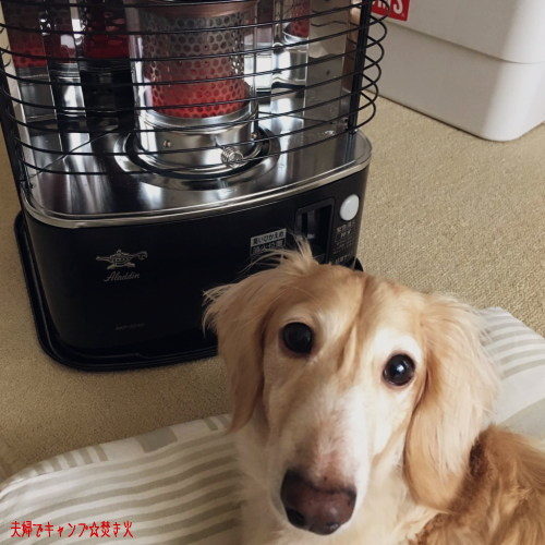 アラジン AKP-S248 石油ファンヒーター　おまけ付き 新品未使用 アラジン 石油ストーブ AKP-S248 災害時にも｜Yahoo!フリマ