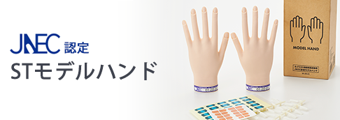 ＳＴモデルハンド STモデルハンド 右手 | Nail Labo Online Shop ネイルラボ オンライン