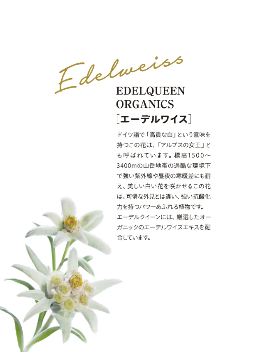 エーデルクイーン オーガニクス ブライトニングセラム 30ml