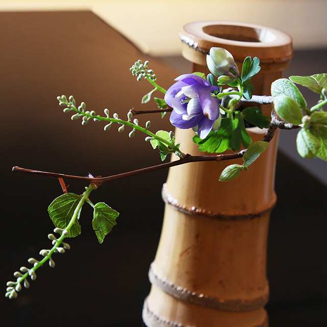 千家十職 - 天平堂（TENPYODO）